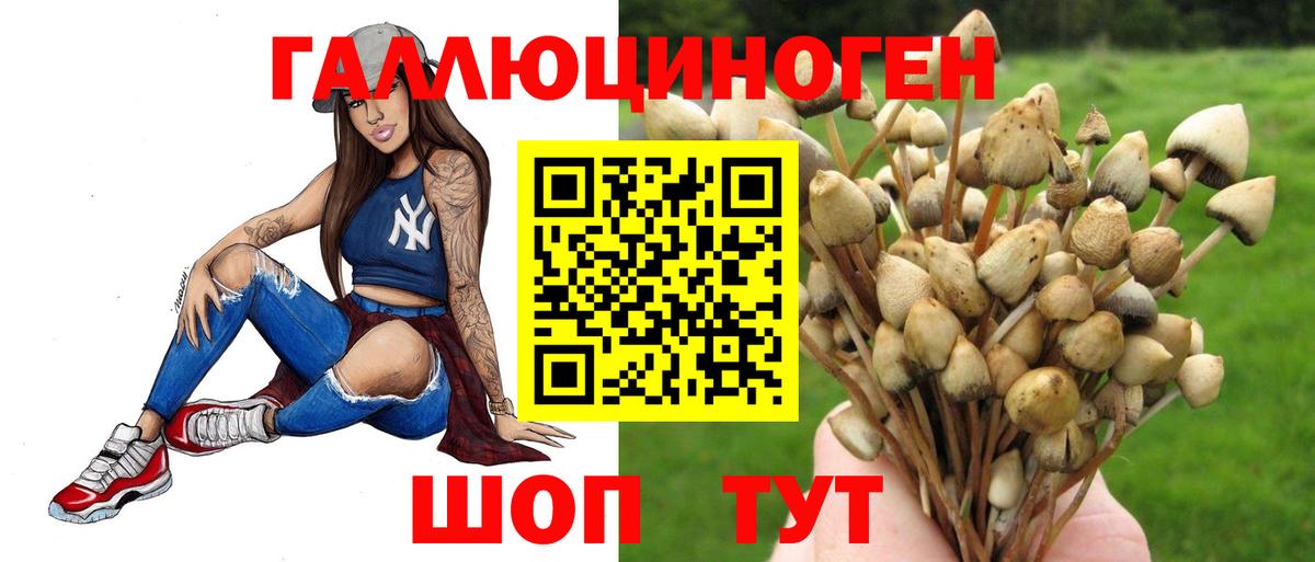 Галлюциногенные грибы мицелий Дербент