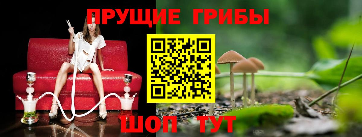 цена   Галлюциногенные грибы GOLDEN TEACHER  Псилоцибиновые грибы Psilocybe  Вход с VPN  Дербент 